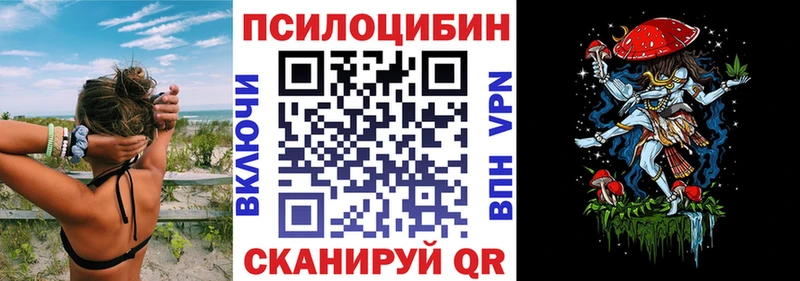 hydra tor  Бологое  Псилоцибиновые грибы Cubensis  хочу  